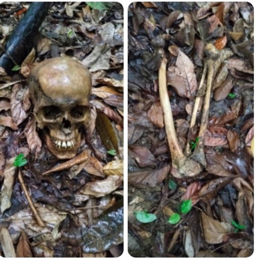 বান্দরবানের নাইক্ষ্যংছড়িতে হাতির ডেরা এলাকায় অজ্ঞাত ব্যক্তির কঙ্কাল উদ্ধার!