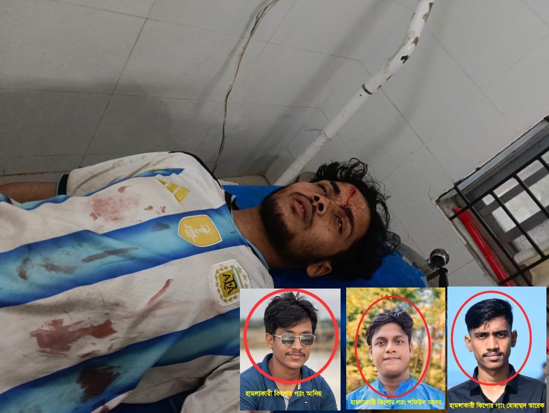পেকুয়ায় বাড়ি নির্মাণে চাঁদা না দেওয়ায় সাংবাদিক পরিবারের উপর কিশোর গ্যাংয়ের হামলা, গুরুতর আহত ৩