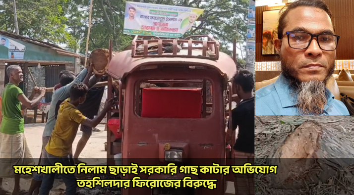 মহেশখালীতে নিলাম ছাড়াই সরকারি গাছ কাটার অভিযোগ তহশিলদার ফিরোজের বিরুদ্ধে